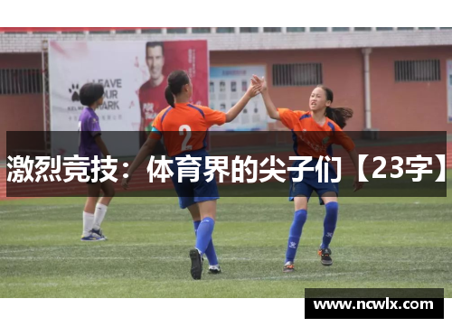 激烈竞技：体育界的尖子们【23字】