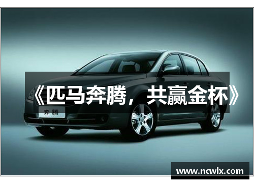 《匹马奔腾,共赢金杯》