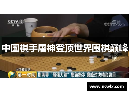 中国棋手屠神登顶世界围棋巅峰